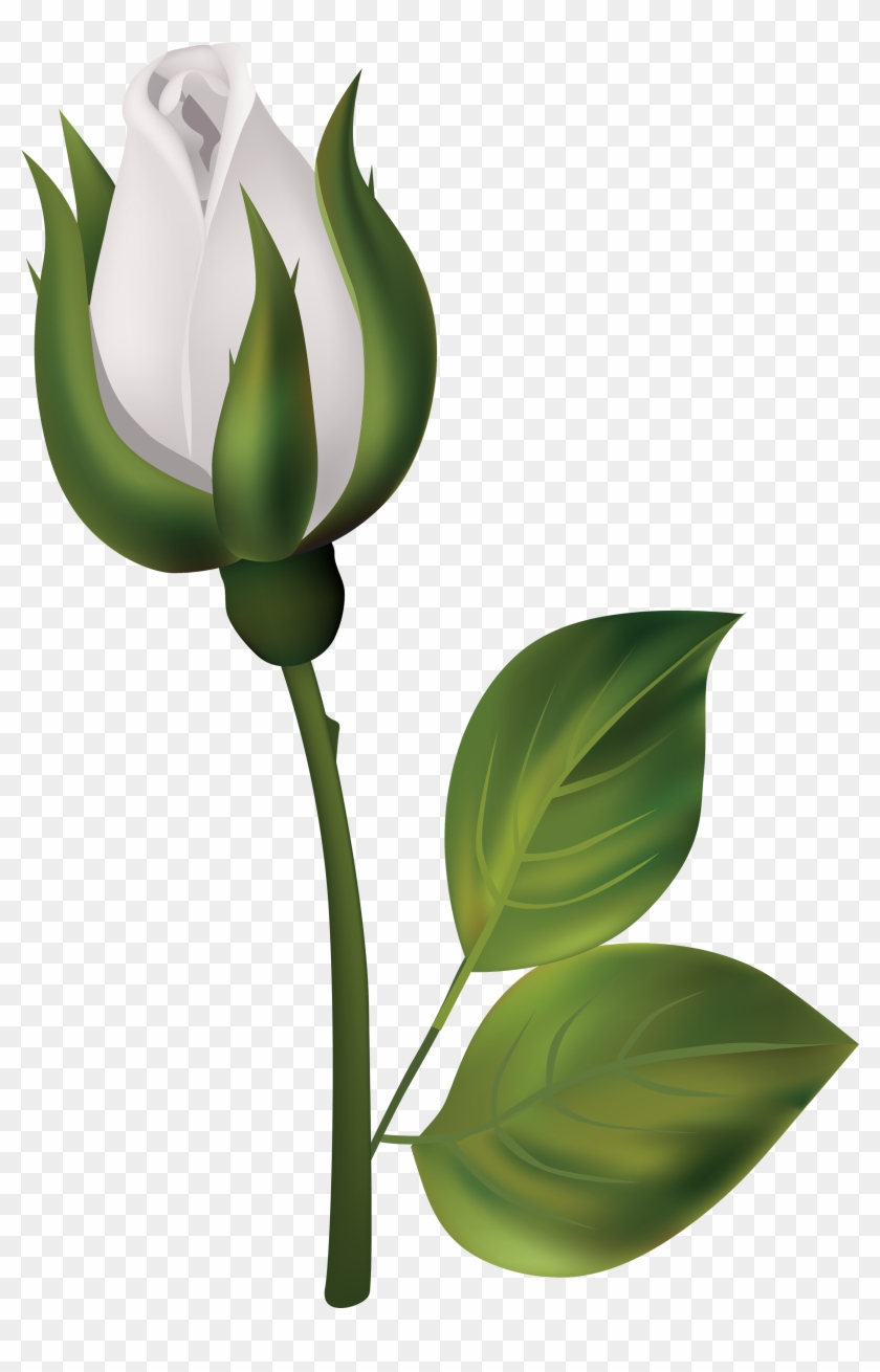 White Rose Bud Png Clipart - White Rose Bud Png #302611