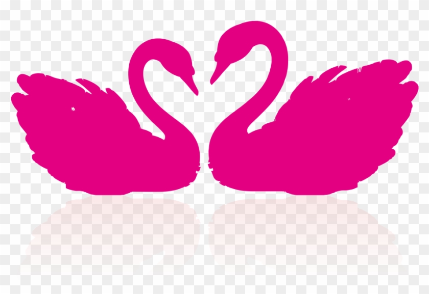 Cygnini Drawing Clip Art - Pink Swan Png #302617