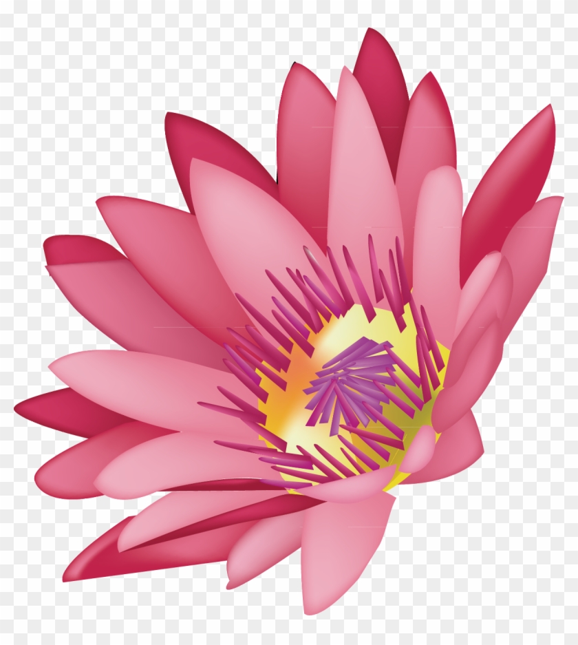 Lotus Decoration Design Drawing Graphics - Lotus Decoration Design Drawing Graphics #302745