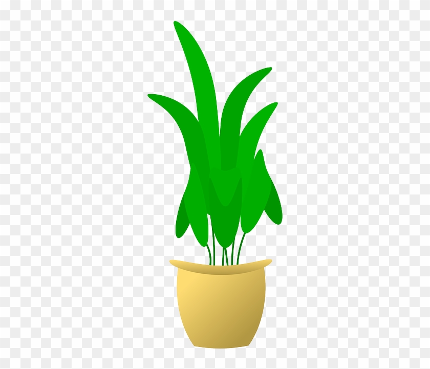 Home, Plants, Flower, Cartoon, Pot, Plant, Flowerpot - Plant In Pot #302753