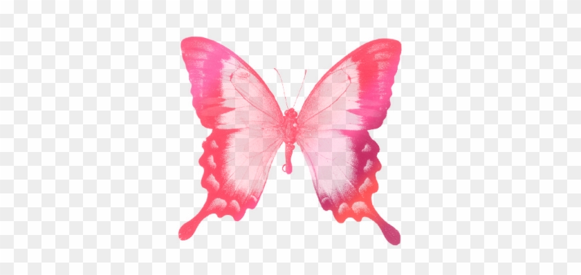 Butterfly Drawings With Color Pink - Female Feminine Female Feminine Female Feminine Square #302760