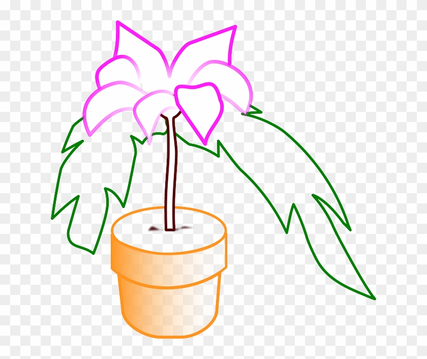 Potted Plant, Flower, Plant - Vektor Pot Bunga Ganja #302770
