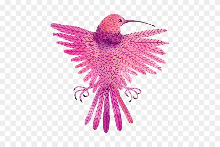 Pink Birds 564*773 Transprent Png Free Download - Pink Birds 564*773 Transprent Png Free Download #302812
