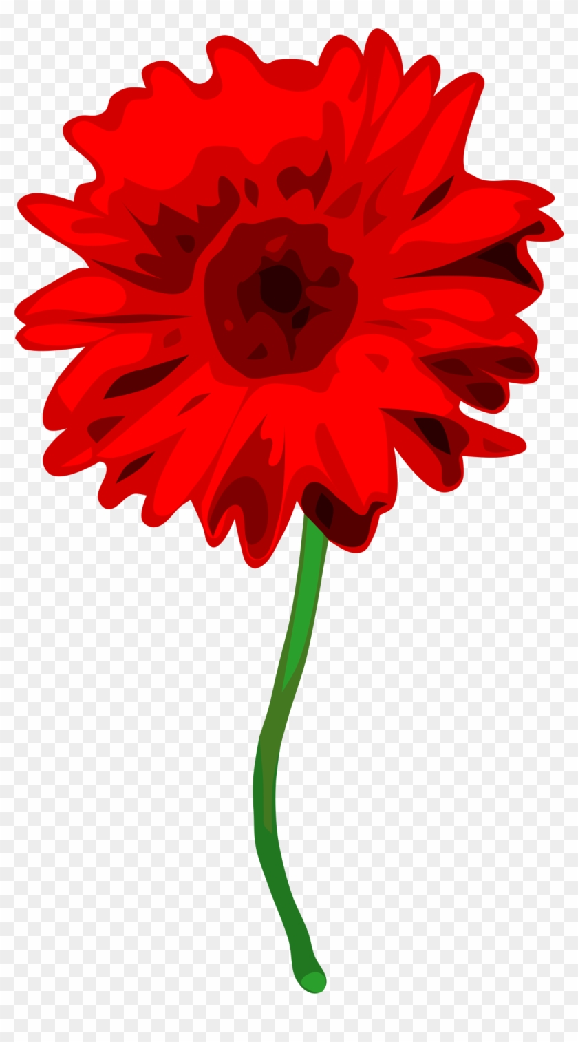 Gerbera Clipart Small - Carnation On White Background #302779