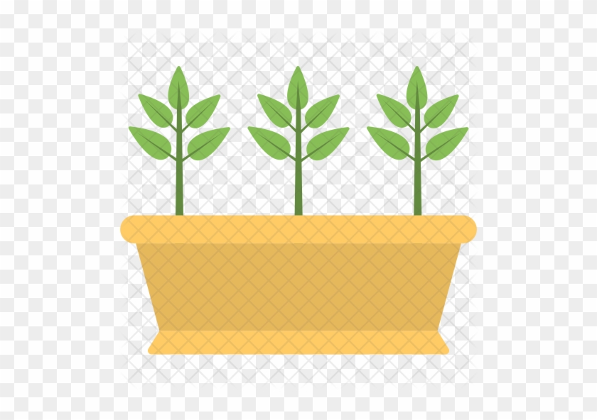 Plant Pot Icon - Plants #302798