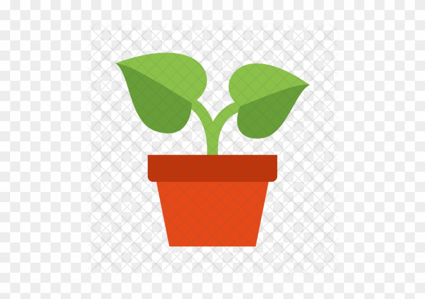 Flower, Leaf, Office, Plant, Pot, Potted Icon - Potted Plants Icon #302804