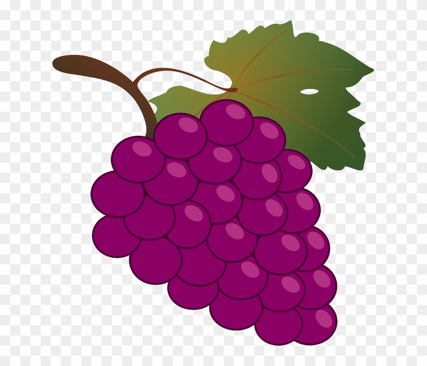 Red, Green, Food, Fruit, Wine, Grapes, Outline, Drawing - Bunch Of Grapes #302825
