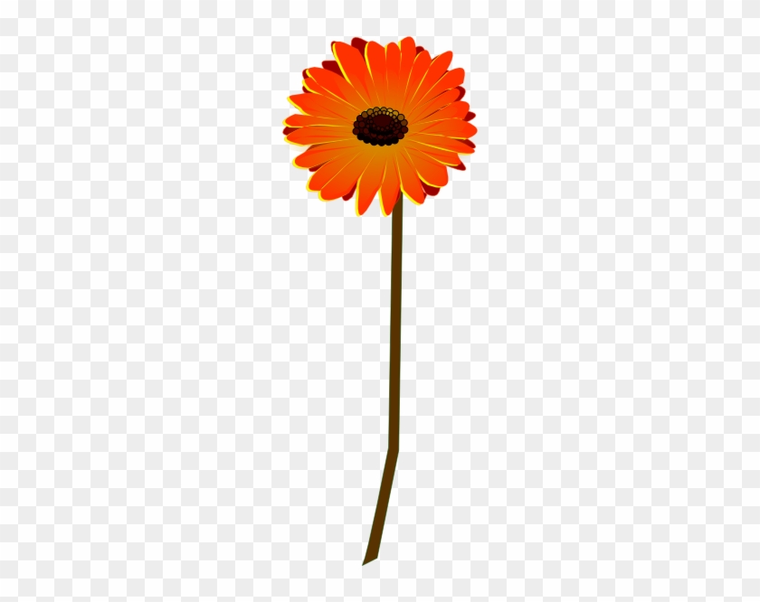 Gerbera Clipart Small - Gerbera Clipart #302868