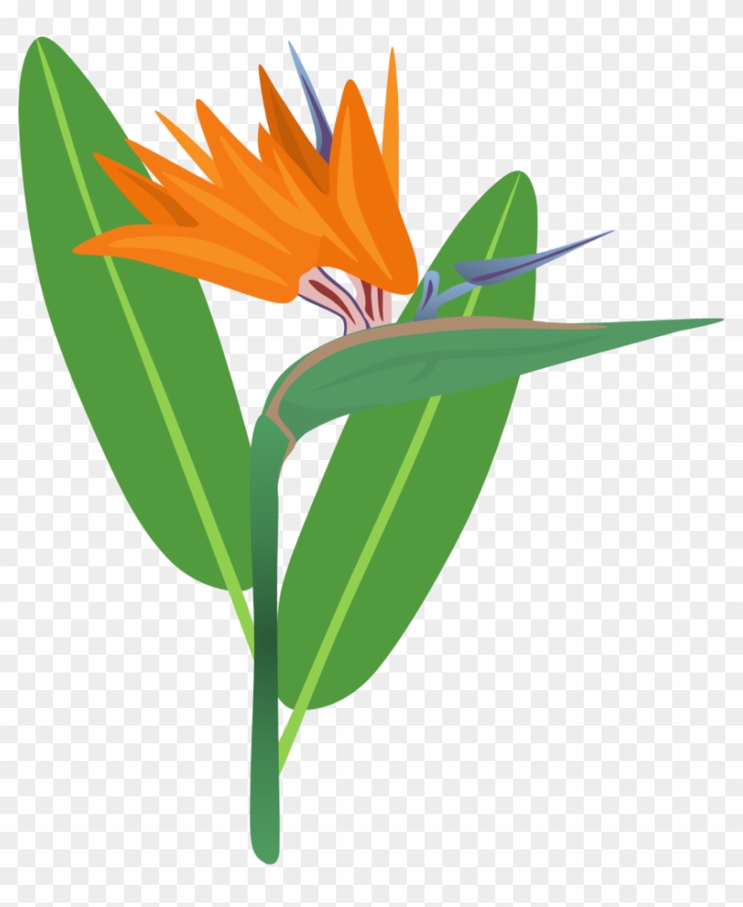 Bird Of Paradise Flower By Adamzt2 On Deviantart - Birds Of Paradise Png #302877