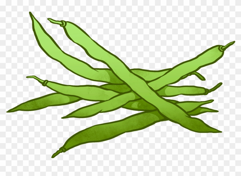 Canned Green Beans Clipart - Green Beans Clipart #302945