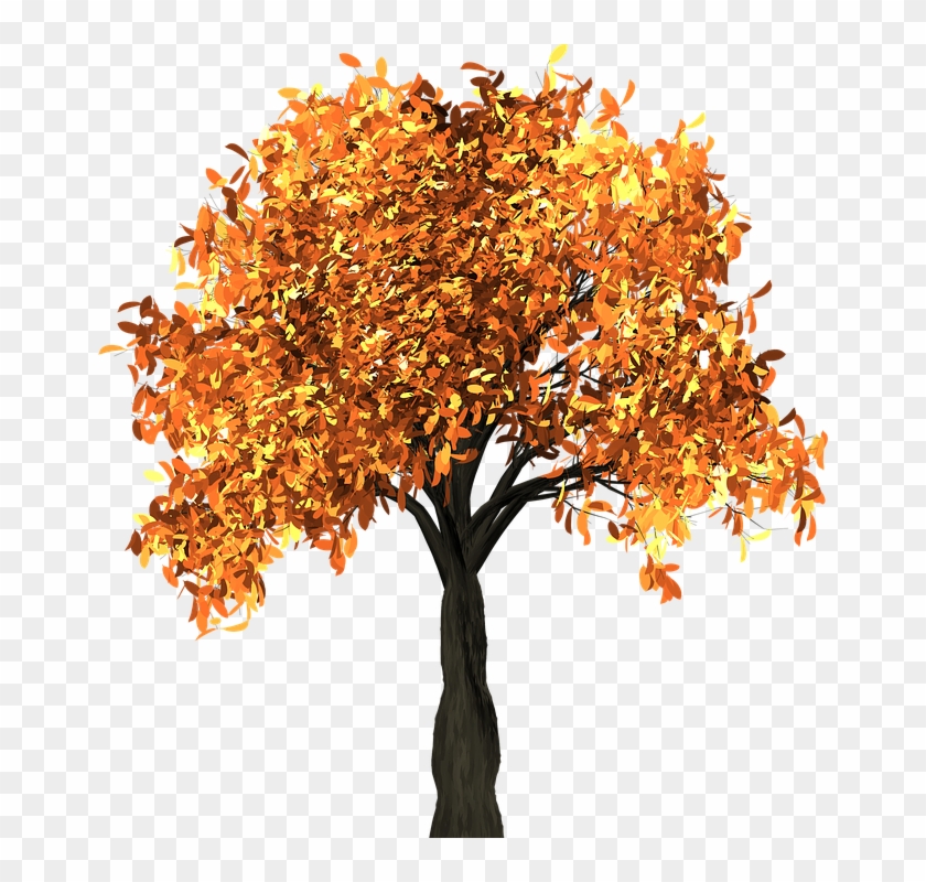 Apricot Tree And The Seasons - Chestnut Tree Autumn Clipart #302947