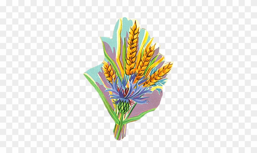 Heart Of Flowers Jpeg - Nyse:aks #302959