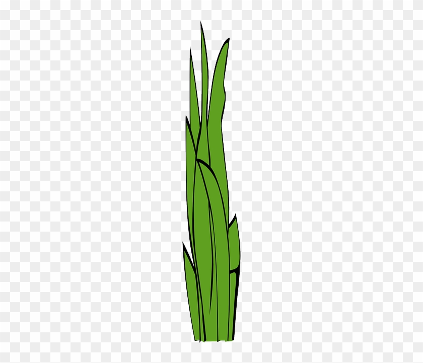 Free Pictures Free Clip Arts - Grass Clip Art #303040