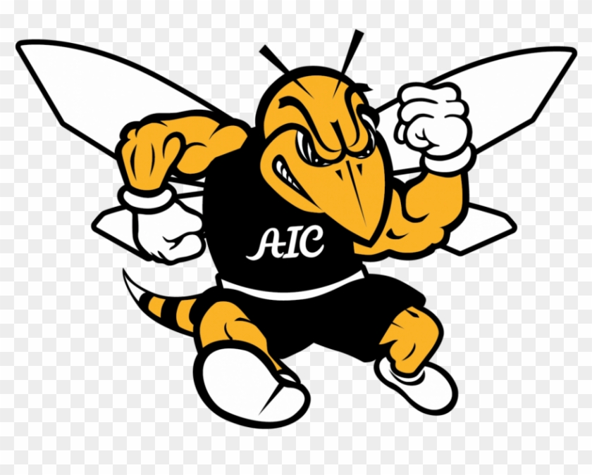 Wrapping Up The Fall Sports Season Aic Yellow Jacket - American International College Yellow Jackets #303063