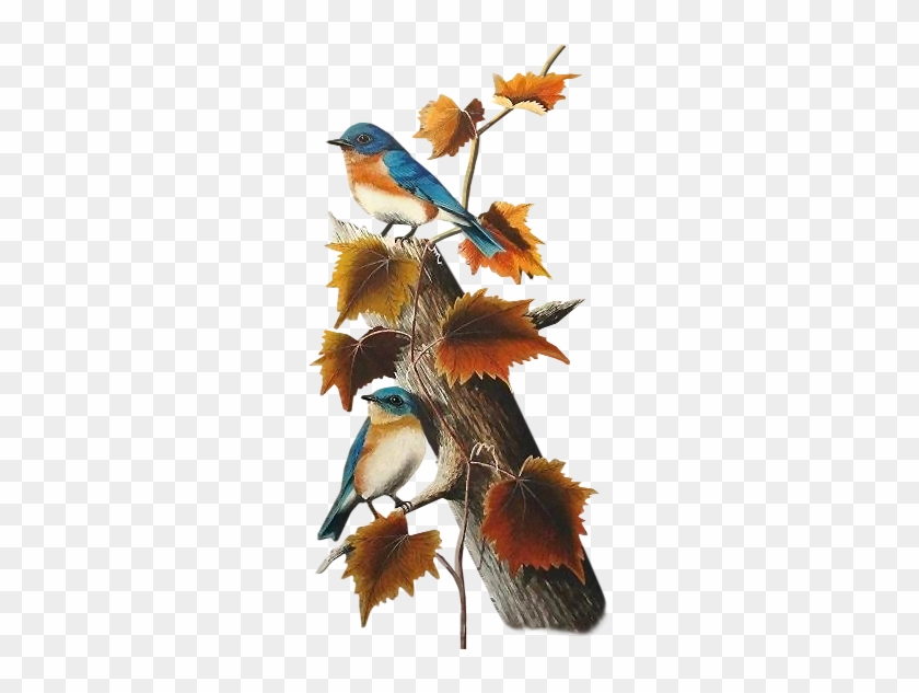 Draw - Bird #303065