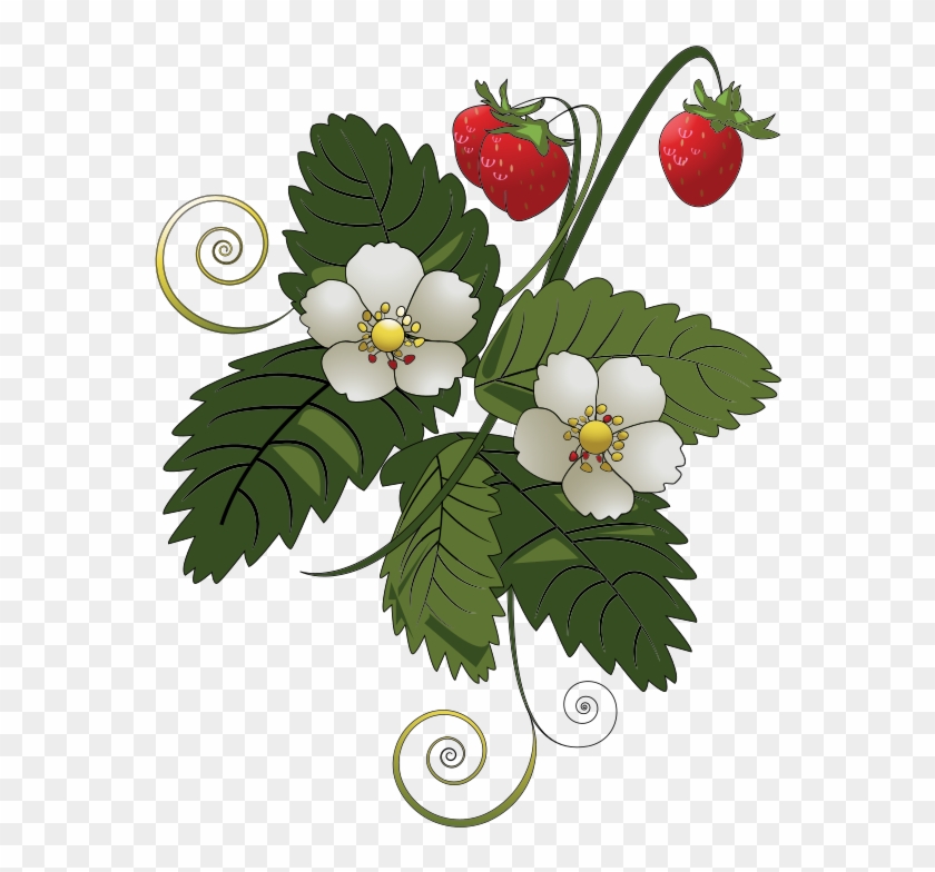 Strawberry Plant - Strawberries Vector #303167