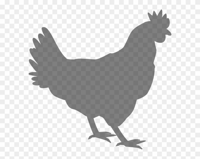 Grey Chicken Clip Art At Clker - Chicken Silhouette Png #303367