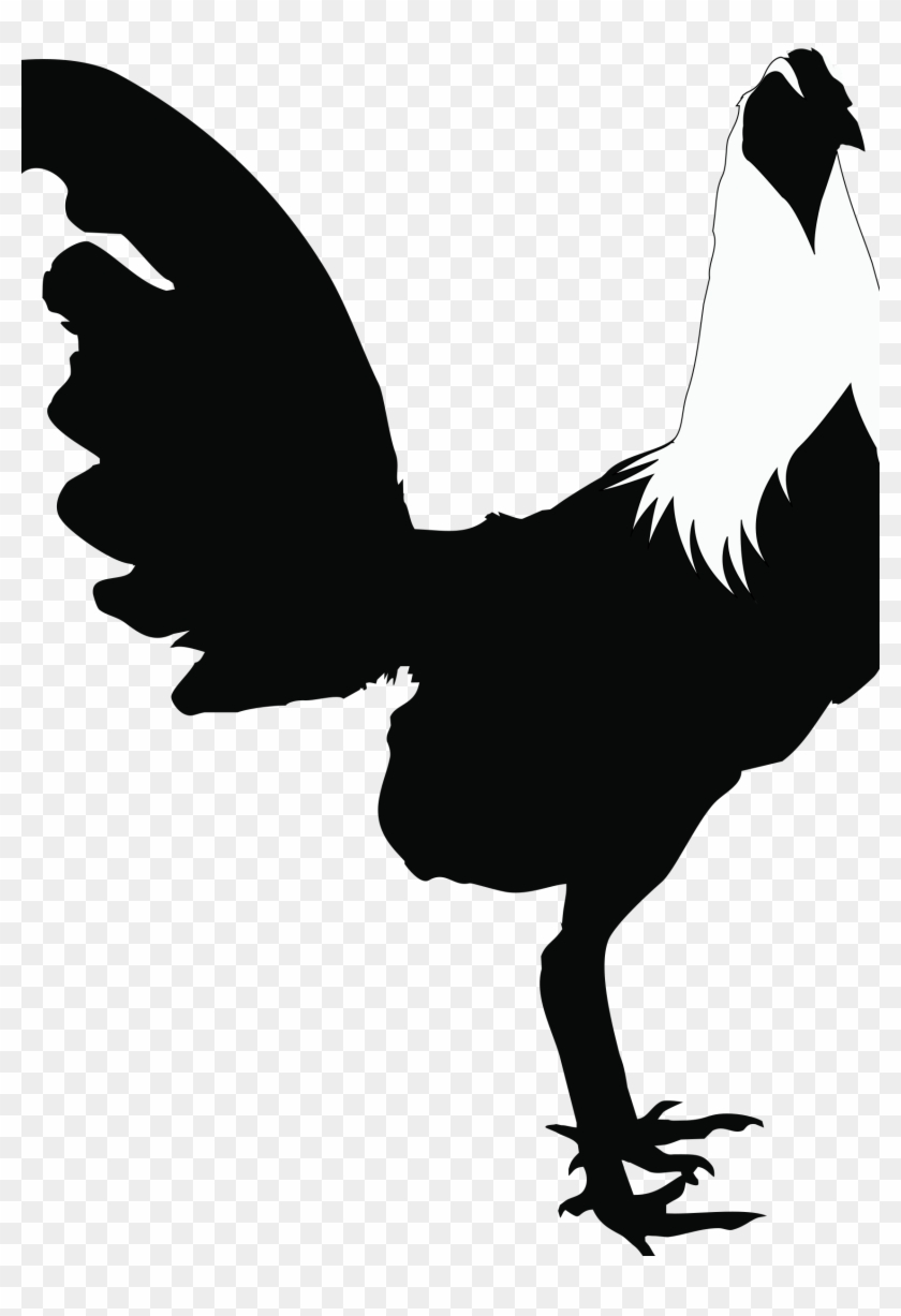 Rooster-black&white - Black And White Rooster #303369