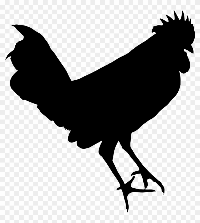 Chicken Silhouette - Silhouette Png Chicken #303373