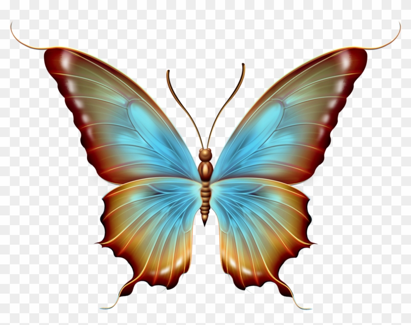 0 A3eab 37f8313 Orig - Mariposas Vibtage Png #303418