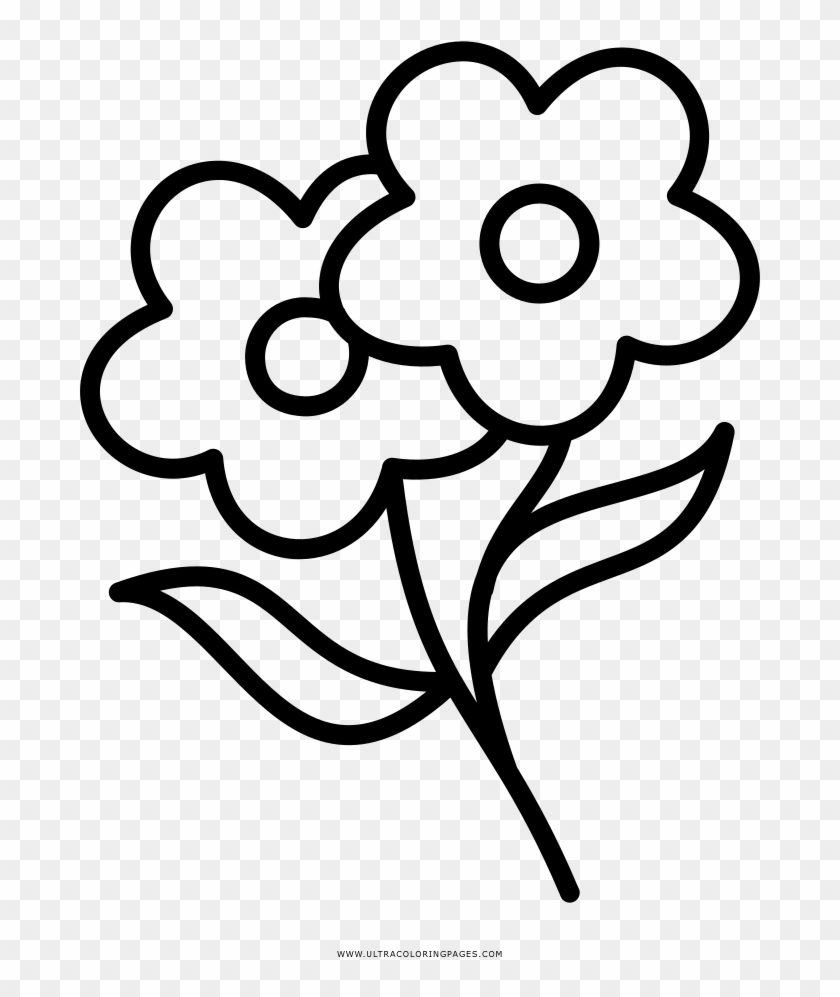 Flowers Coloring Page - Coloring Book - Free Transparent PNG ...