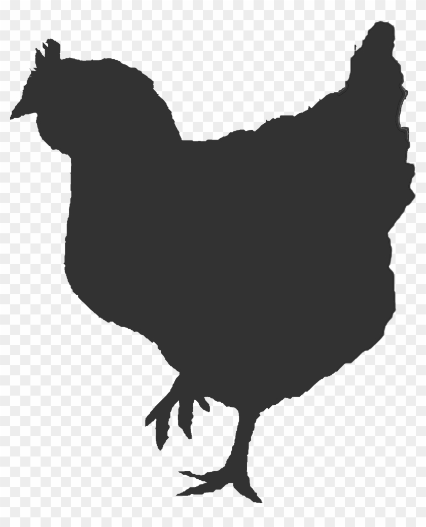 Ontario Broiler Chicken Hatching Egg Producers Association - Chicken & Egg Silhoutte #303463