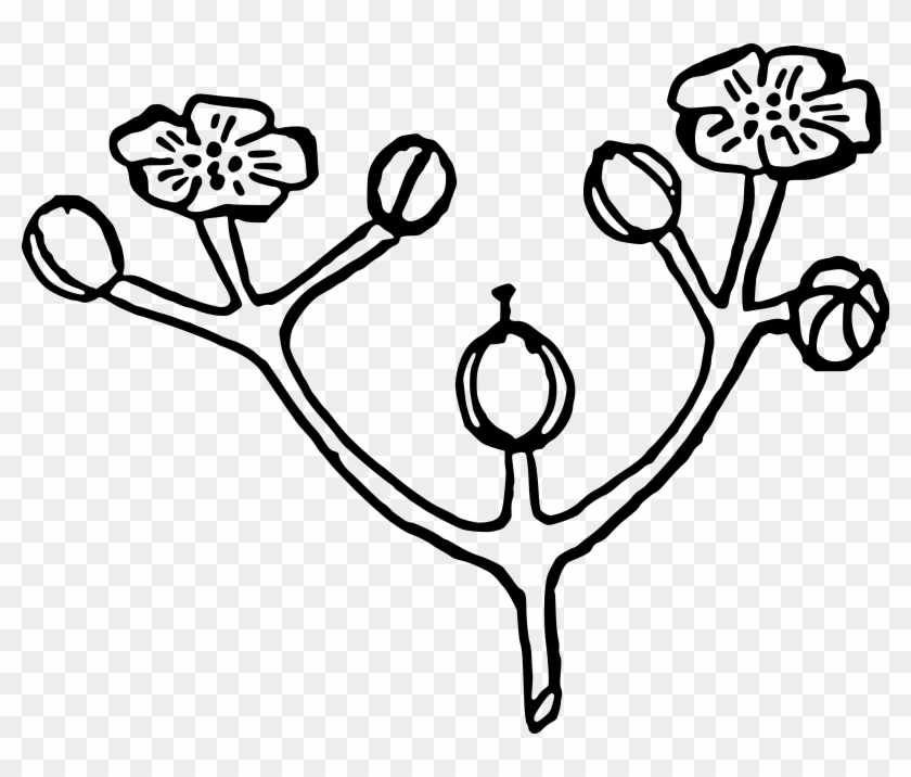 Free Printable Flower Coloring Pages, Kids Flower Coloring - Flower #303469