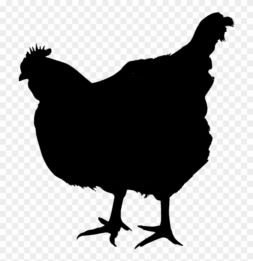 Farm Chicken Png - Chicken Silhouette Transparent Background #303478