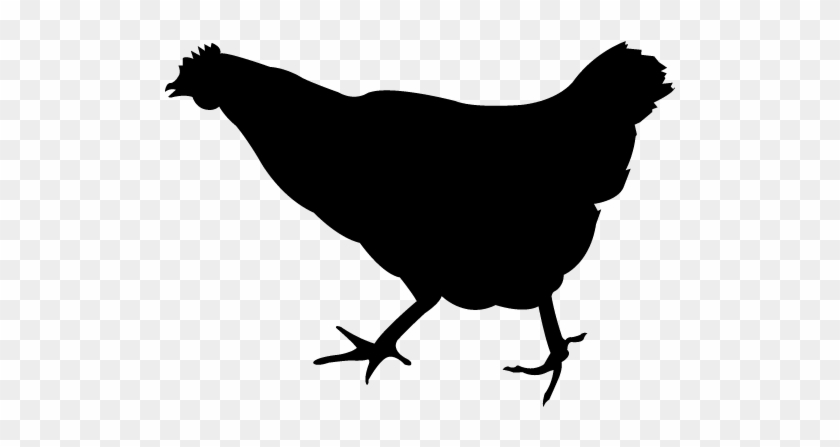 Free Vector Chicken Silhouette #303487