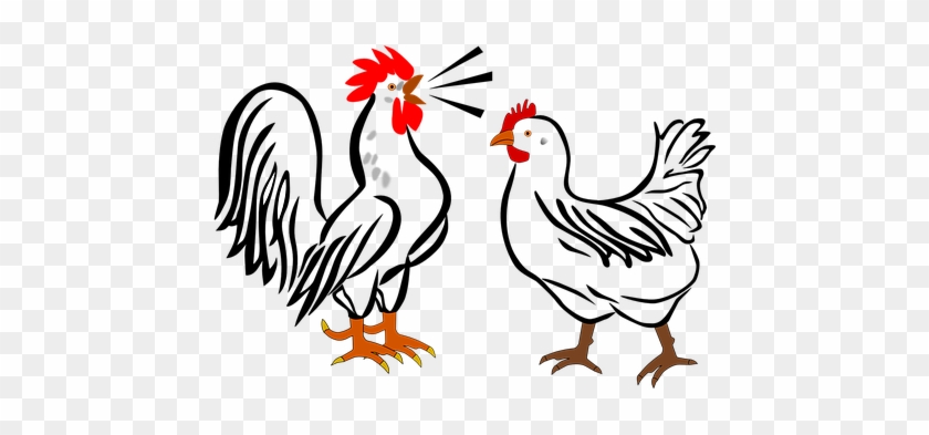 Rooster Hen Farm Animals Birds Chicken Pou - Hen And Rooster Cartoon #303507