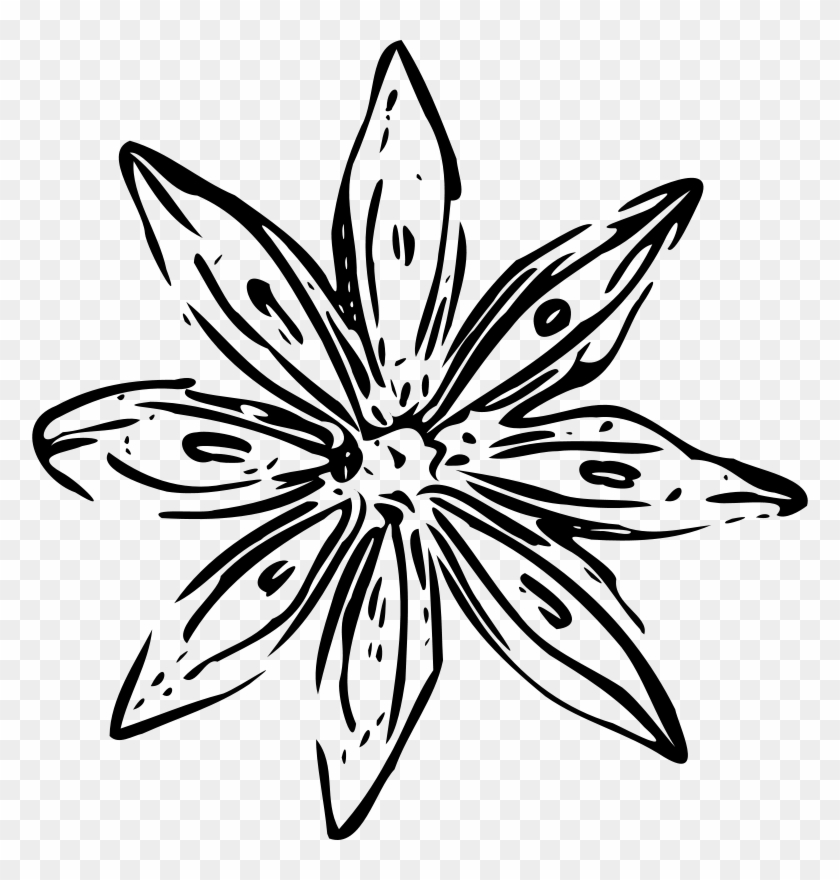 Flower Outlines - Flower Clip Art #303514