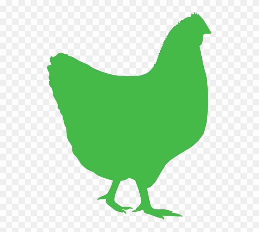 0 - Rooster #303559