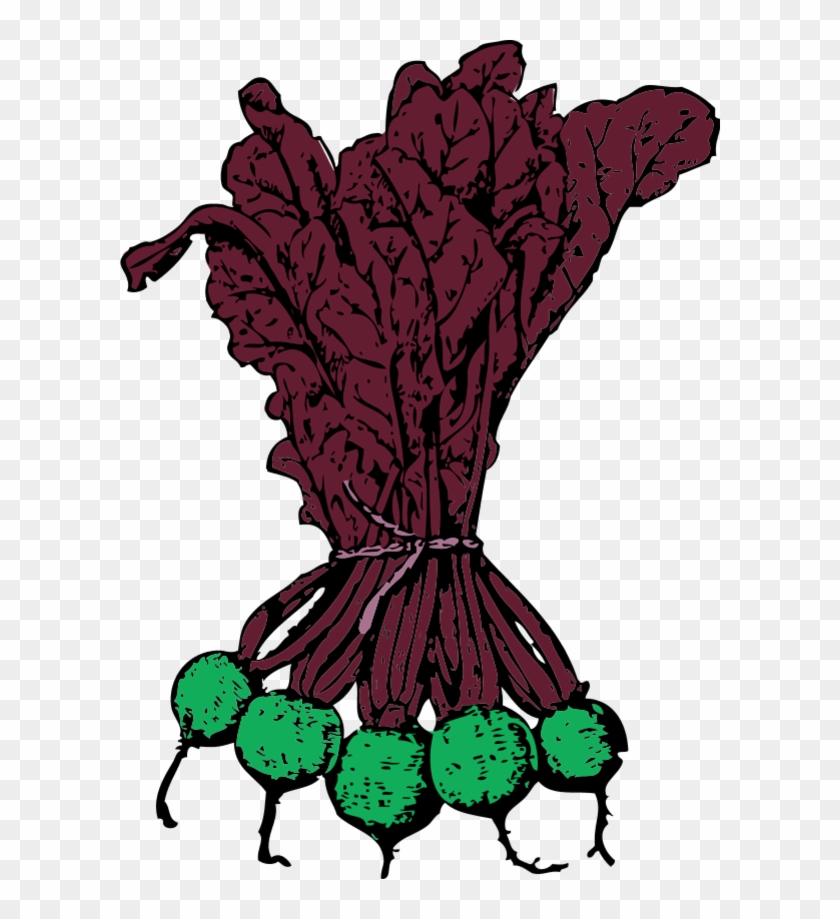 Vector Clip Art - Beets Clip Art #303583