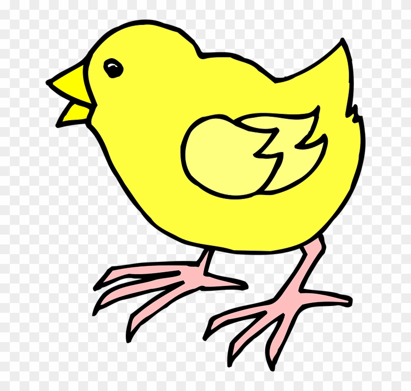 Cartoon Baby Chick Clip Art At Clkercom Vector Online - Cartoon Picture Of Chicks #303584