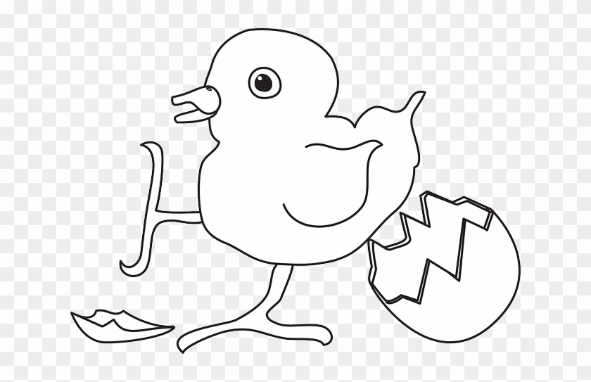 Baby, Outline, Farm, Bird, Egg, Art, Chick, Shell - Illustration #303592