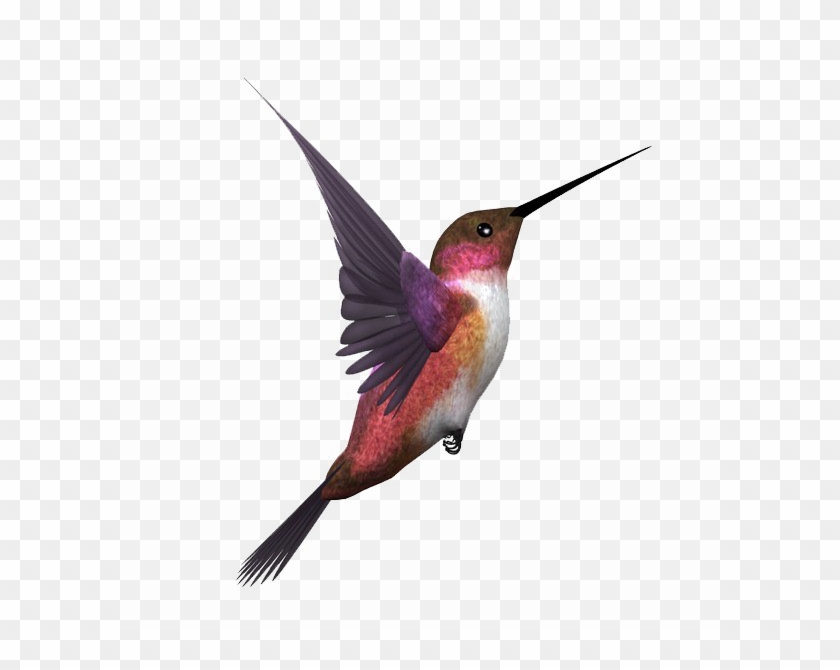Kingfisher Bird Transparent Image - Flying Bird Bird Png #303669