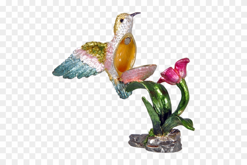 Hummingbird Open - Ruby-throated Hummingbird #303680