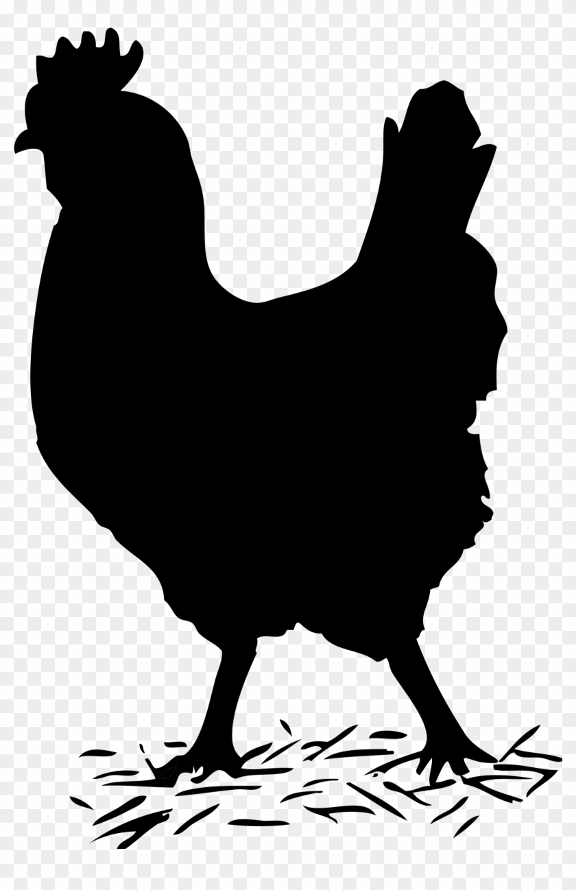 Black Solid Chicken By Silhouette Of A Chicken, On - Hen Black And White #303686