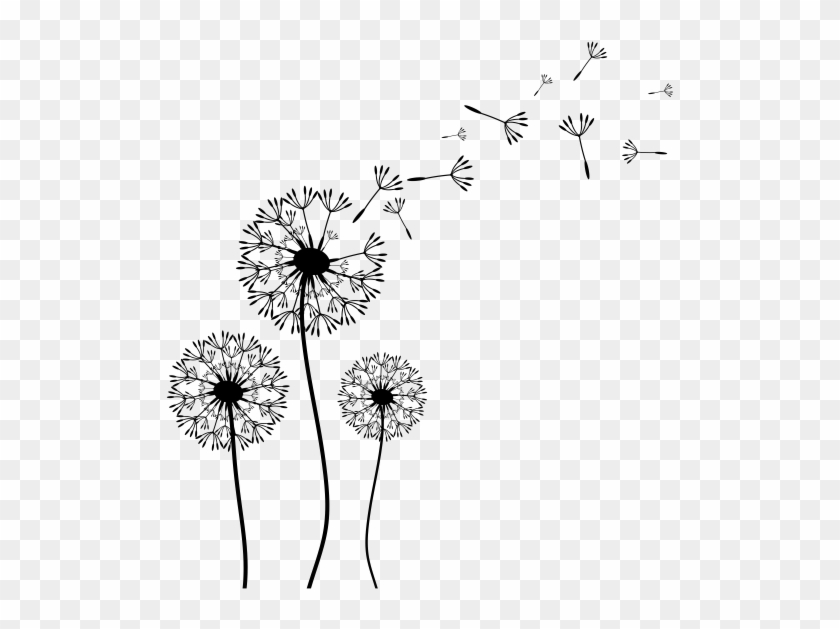 Resultado De Imagem Para Flor Dente De Leao - Dandelion Clipart Black And White #303739