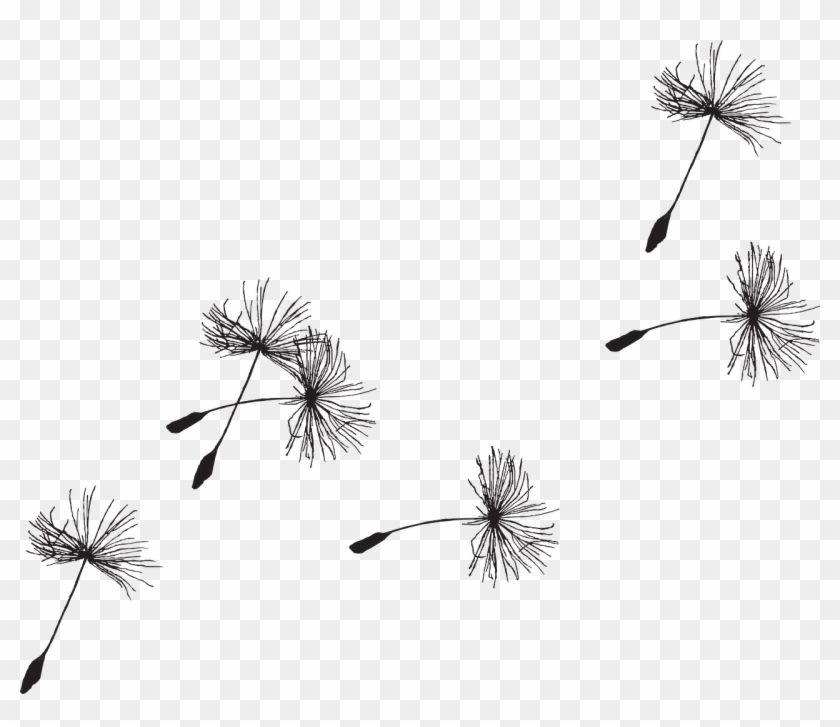 Image Result For Dandelion Tattoo - Dandelion Seed Head Tattoo #303740