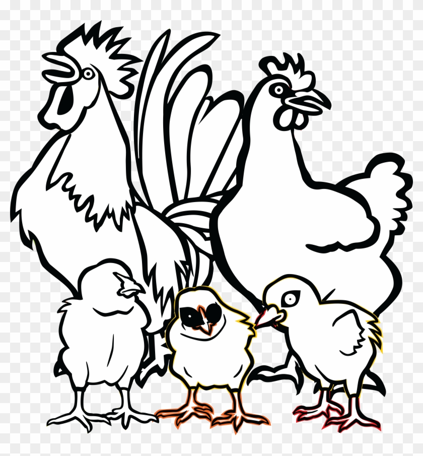 Free Clipart Of A Chicken Family - Chicken Family Drawing #304068