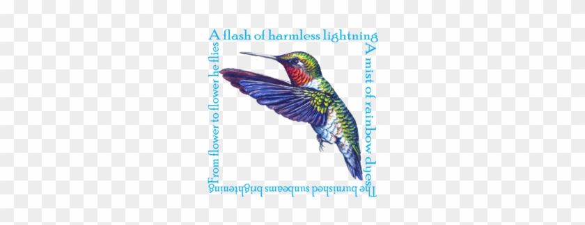 Ruby Throated Hummingbird Poem - Cafepress Hummingbird Poem Tile Coaster #304064