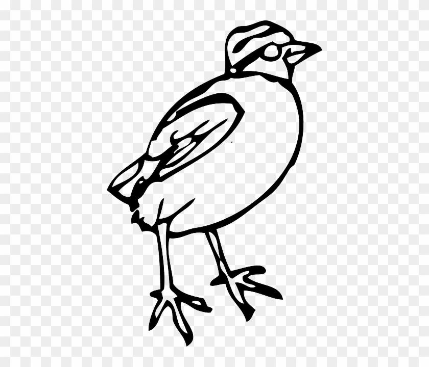 Standing Cartoon, Little, Birds, Bird, Stand, Animal, - Bird Clipart #304308