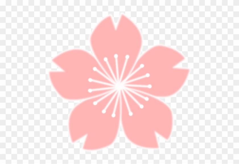 Cherry Blossom Sakura Flower Drawing Art #304412