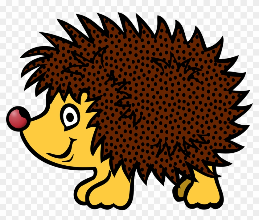Hedgehog Animal Cartoon Hedgehog Hedgehog - Porco Espinho Em Desenho #304852