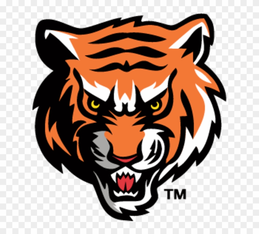The Georgetown College Tigers Vs - Fern Creek High School Logo #304853
