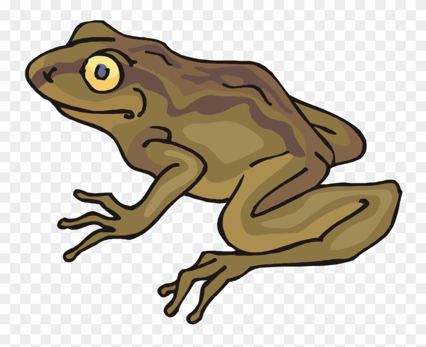 Toad Clip Art Brown Toad Clipart Clip Art - Toad Clipart #304860