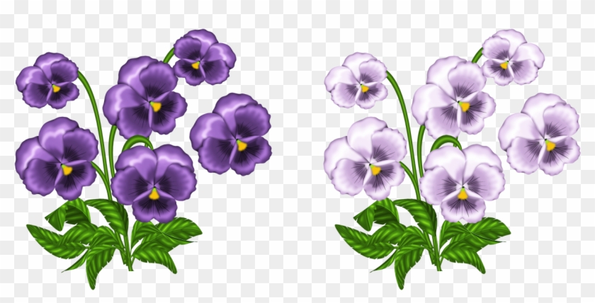 Inspirational Design Violet Clipart Purple And White - Violets Clipart #304896