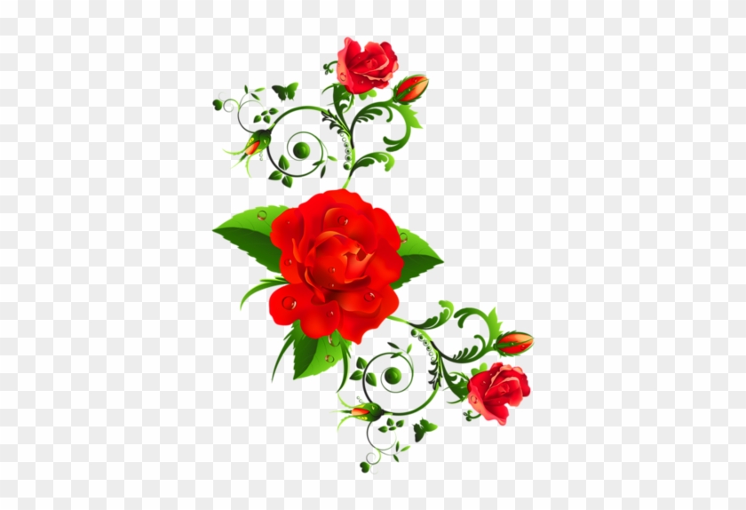 Happy Flowers, Red Flowers, Red Roses, Beautiful Flowers, - Nice Women's Day #304944