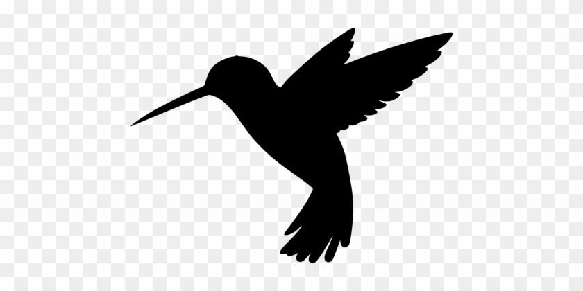 Silhouette, Bird, Flying, Cut Out - Transparent Background Hummingbird Gif #304961